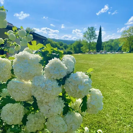 Domaine La Luxe Met Zwembad *