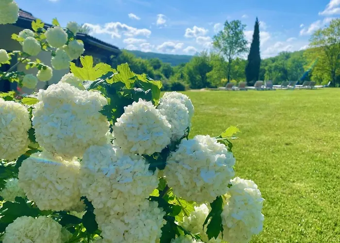 Domaine La Luxe Met Zwembad *